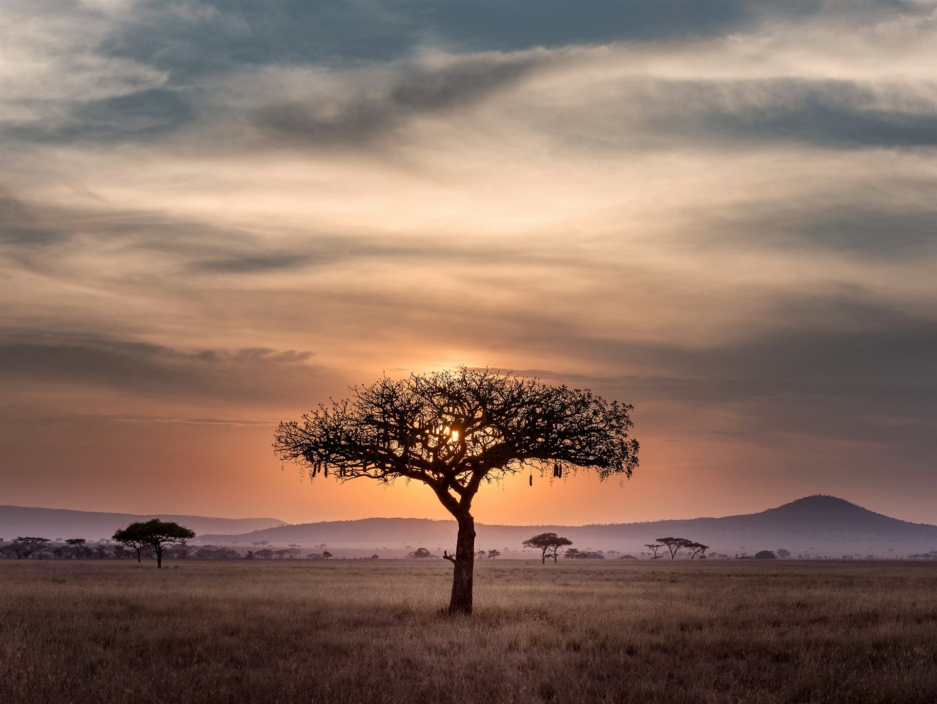 Expansive African savannah landscape