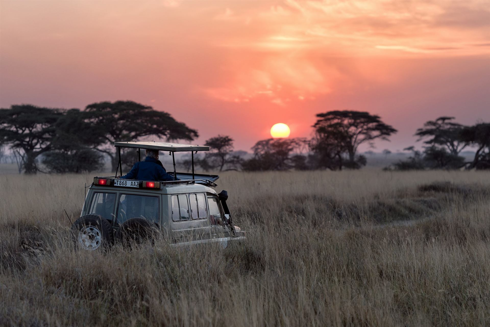 Rwanda wildlife and green landscape