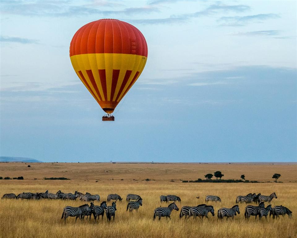 Safari landscape in Tanzania